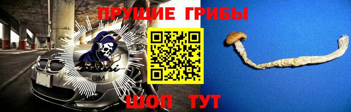 Галлюциногенные грибы мухоморы Щёлково