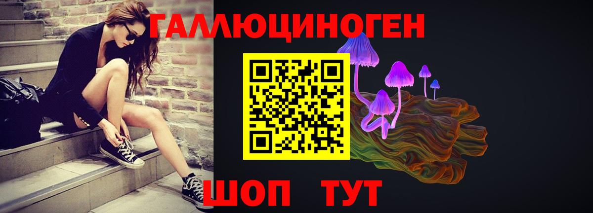 Щёлково  Галлюциногенные грибы мухоморы  где продают   Вход с VPN 